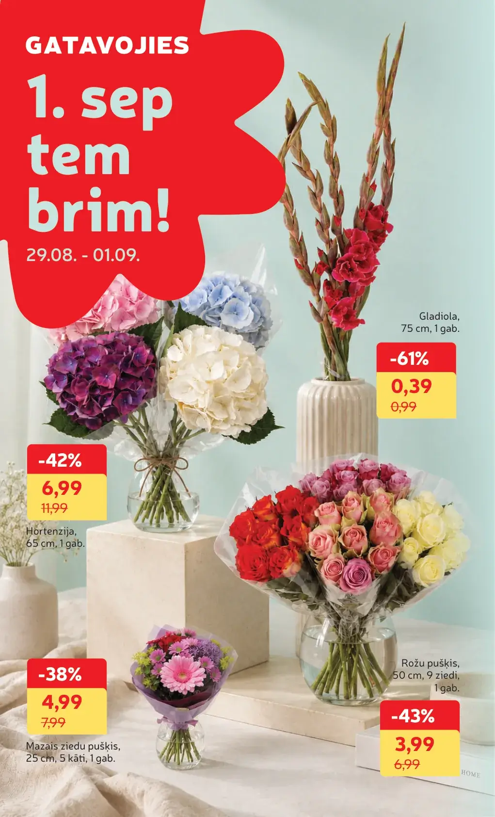 Rimi ziedu akcijas 1. septembrim ar gladiolām, hortenzijām un rožu pušķiem